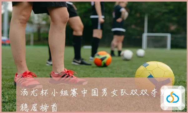 汤尤杯小组赛中国男女队双双夺魁稳居榜首