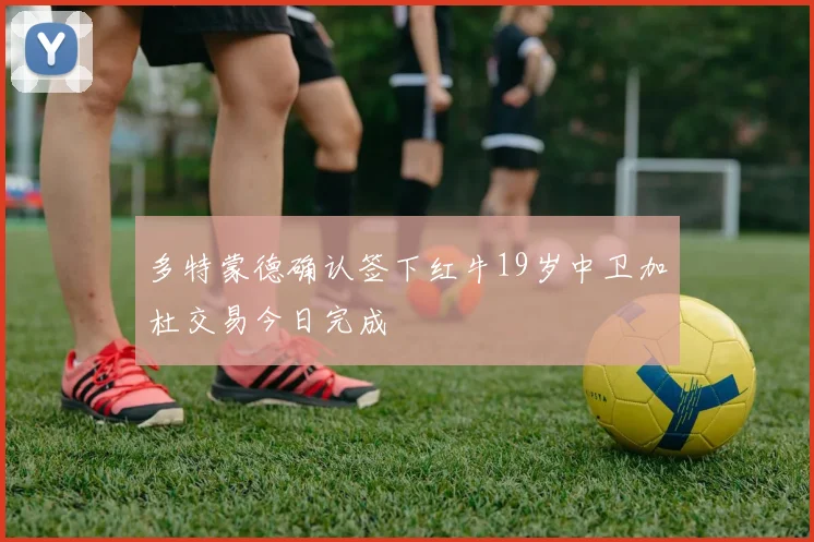 多特蒙德确认签下红牛19岁中卫加杜交易今日完成