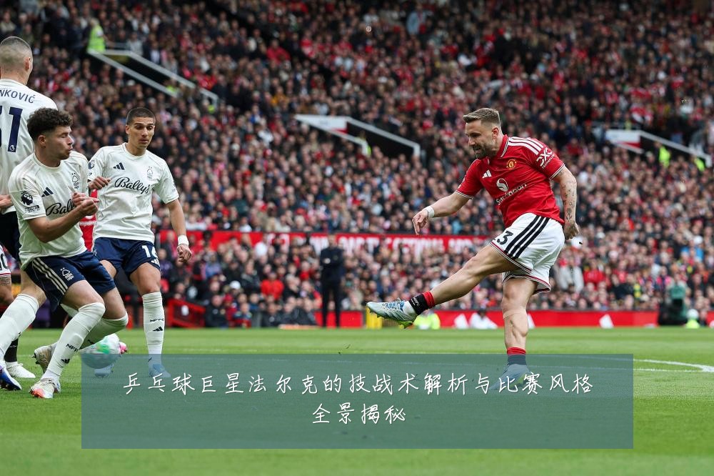 乒乓球巨星法尔克的技战术解析与比赛风格全景揭秘