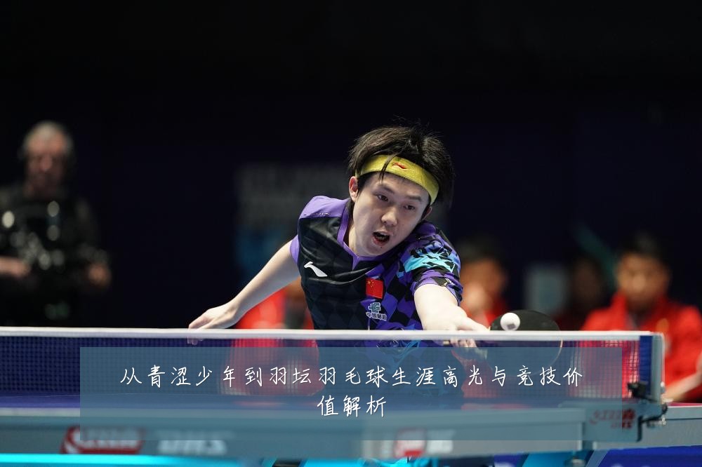 从青涩少年到羽坛羽毛球生涯高光与竞技价值解析